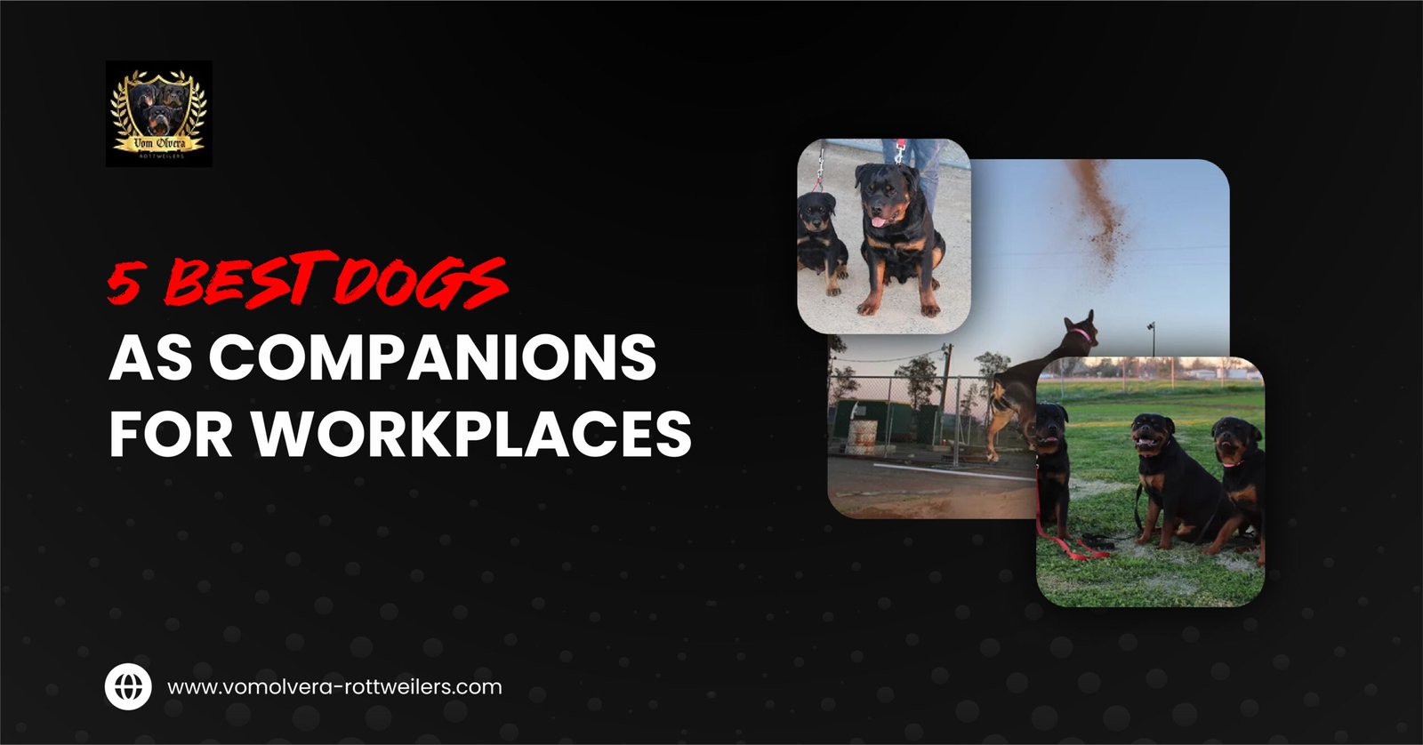 best dogs for workplaces
