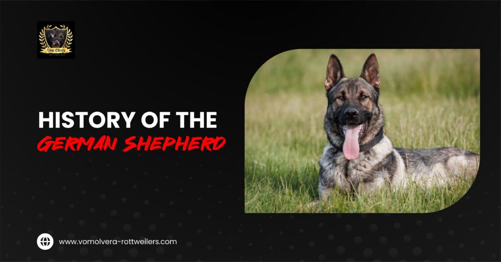 History of the German Shepherd