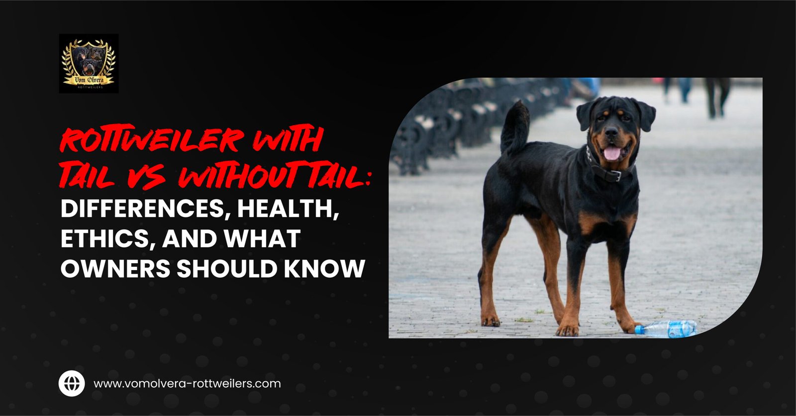 Rottweiler with tail vs without tail