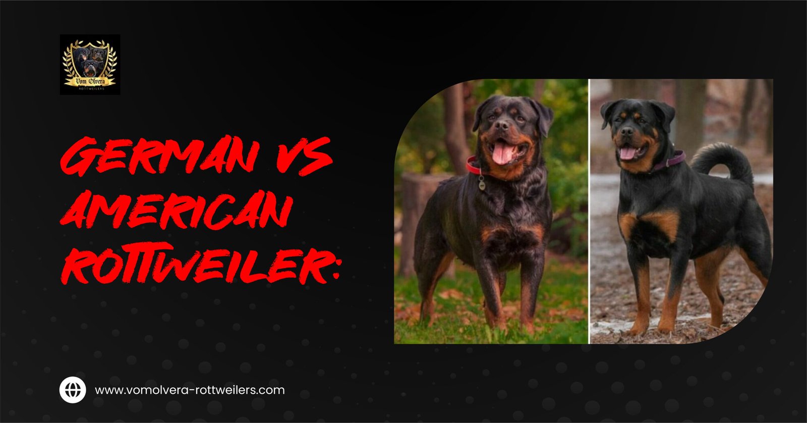 German vs American Rottweiler