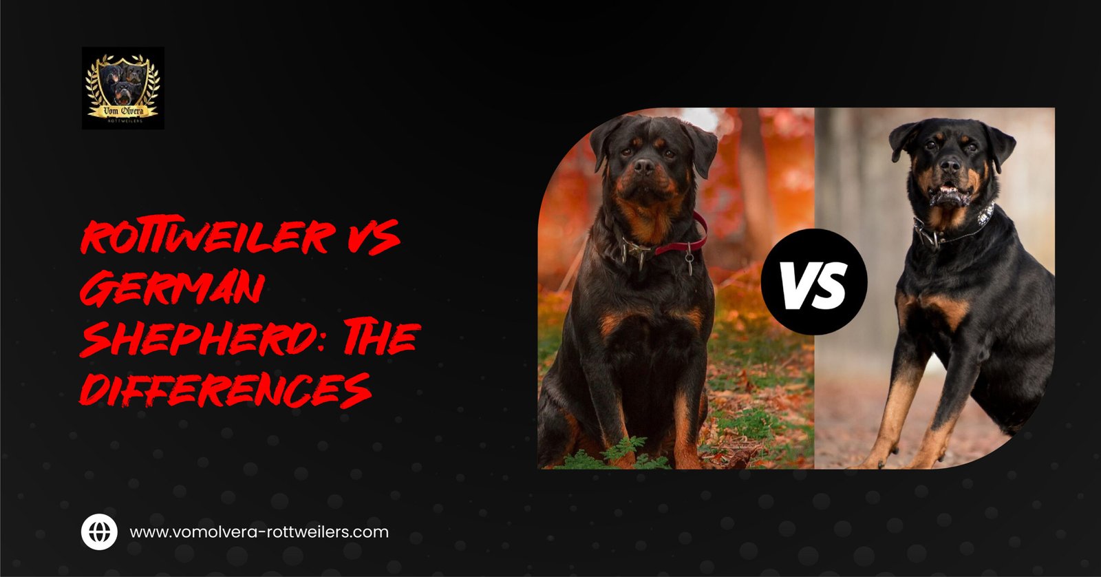 Rottweiler vs German Shepherd